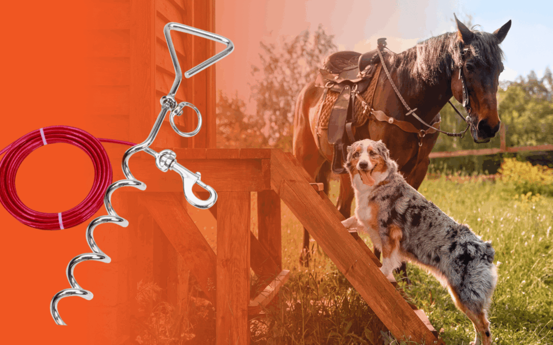 Tie-Out Stakes and Hardware: Complete Guide for Dogs, Horses, and Livestock