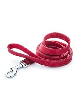 dog collar leash